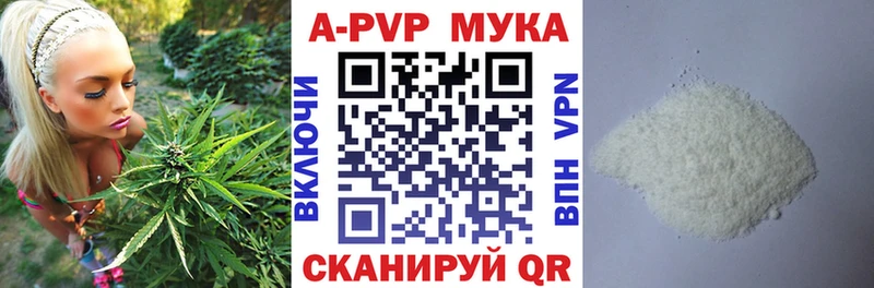 A-PVP СК Калининград