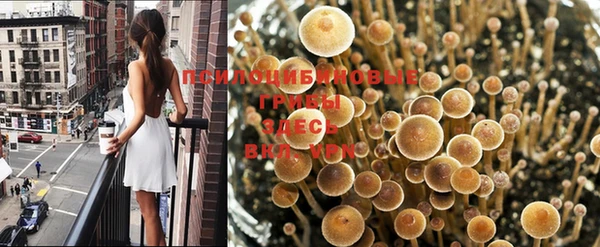 герыч Осташков