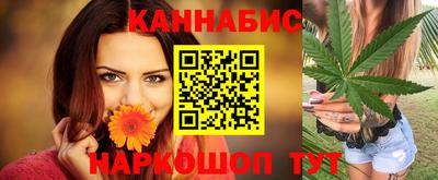 крисы Аргун