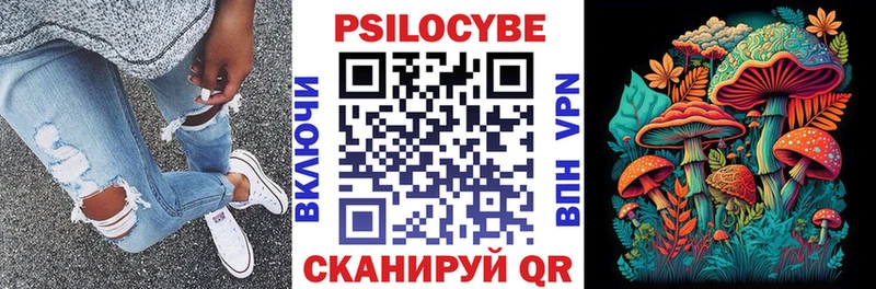 Псилоцибиновые грибы Psilocybe  Калининград 