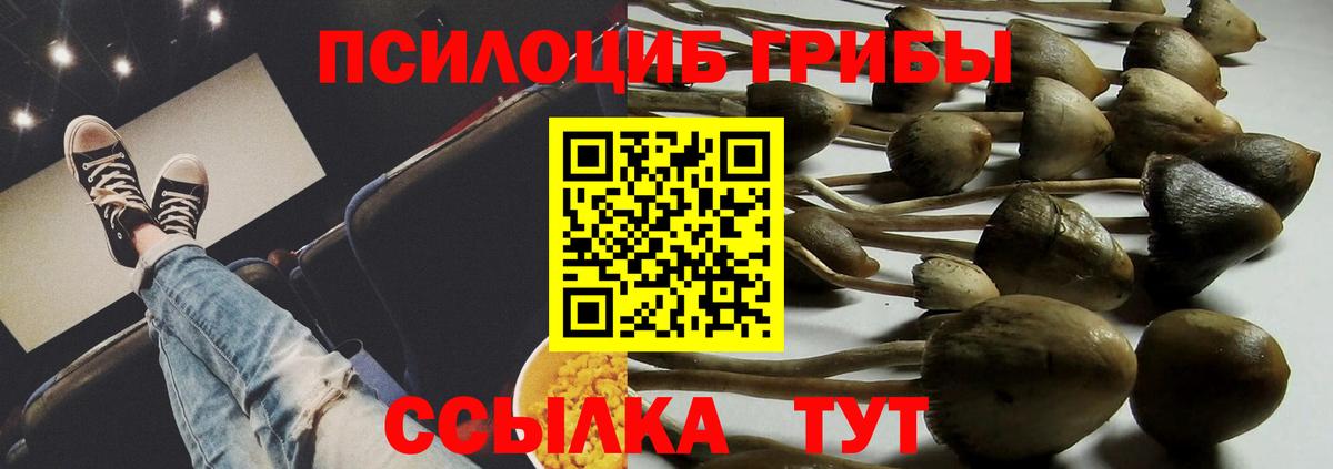 Псилоцибиновые грибы мухоморы  Калининград 