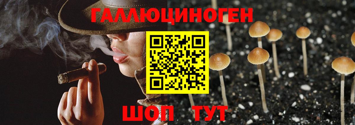 Калининград  Псилоцибиновые грибы мицелий  Вход с VPN 